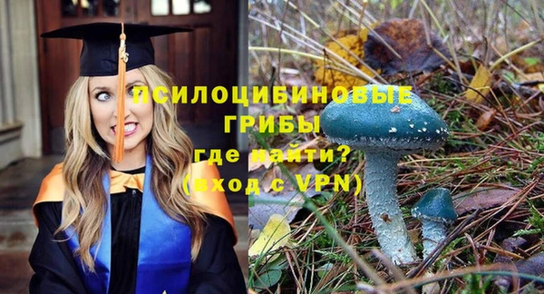 a pvp Балабаново