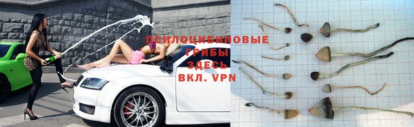 a pvp Балабаново